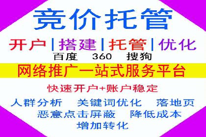 竞价广告案例分享：XX电商平台的成功秘诀